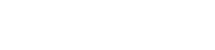 Perfection Global